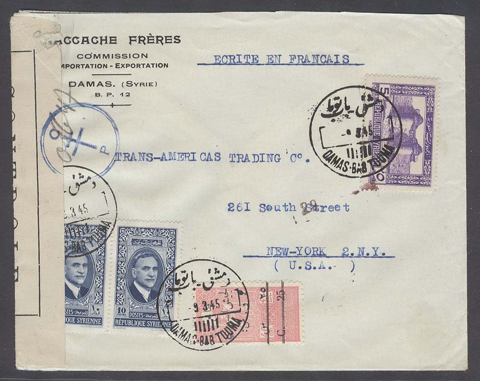 Lot 26064 - syria - Antonio Torres Early Spring private treaty sale Lot 26064 - syria - Antonio Torres Early Spring private treaty sale