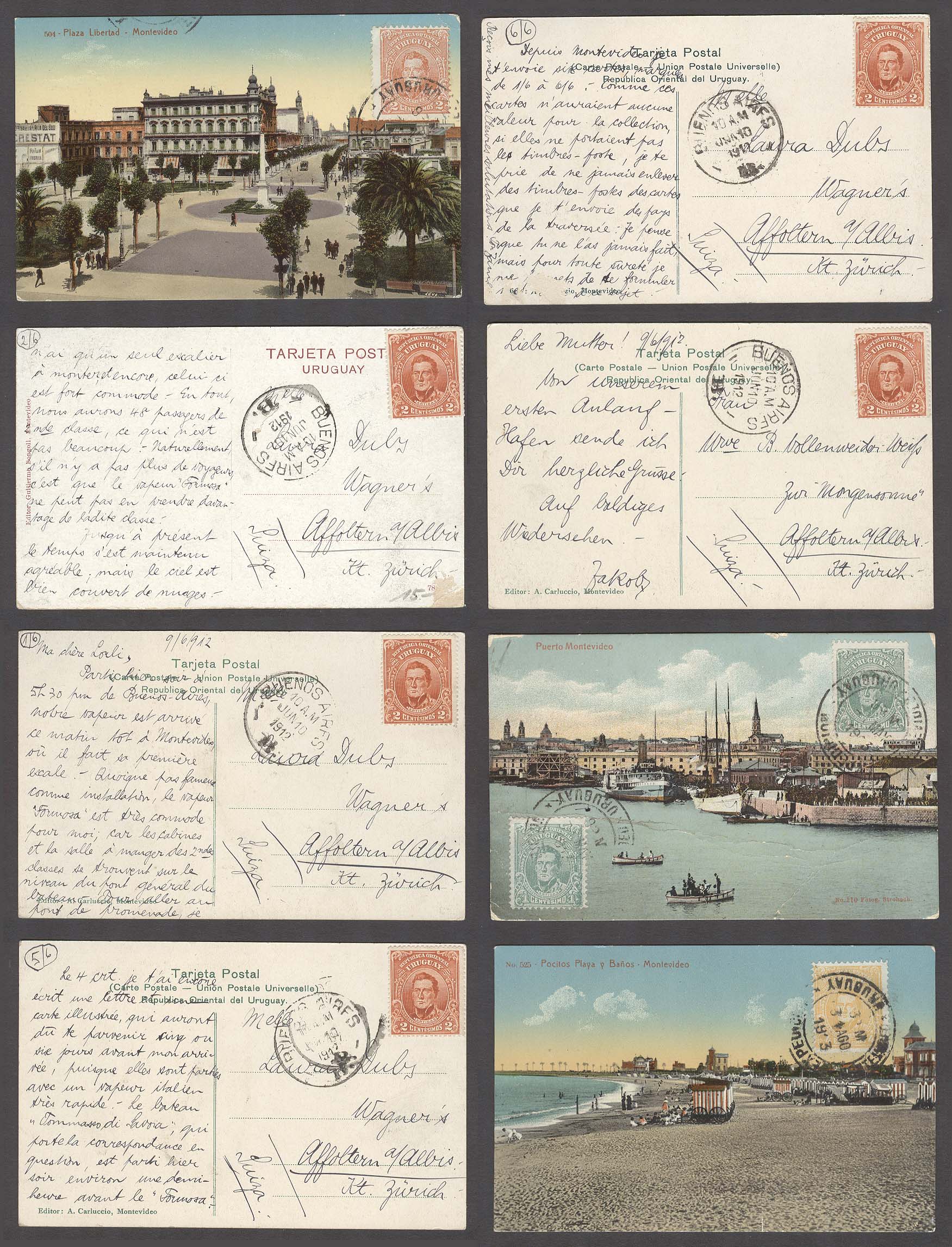 Lot 26547 - Uruguay - Antonio Torres Early Spring private treaty sale Lot 26547 - Uruguay - Antonio Torres Early Spring private treaty sale