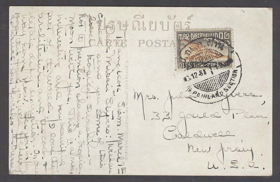 Lot 24910 - siam - Antonio Torres Early Spring private treaty sale Lot 24910 - siam - Antonio Torres Early Spring private treaty sale