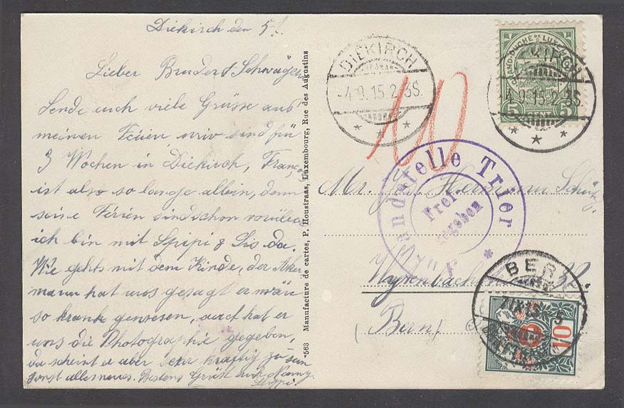 Lot 18177 - Luxembourg - Antonio Torres Early Spring private treaty sale Lot 18177 - Luxembourg - Antonio Torres Early Spring private treaty sale