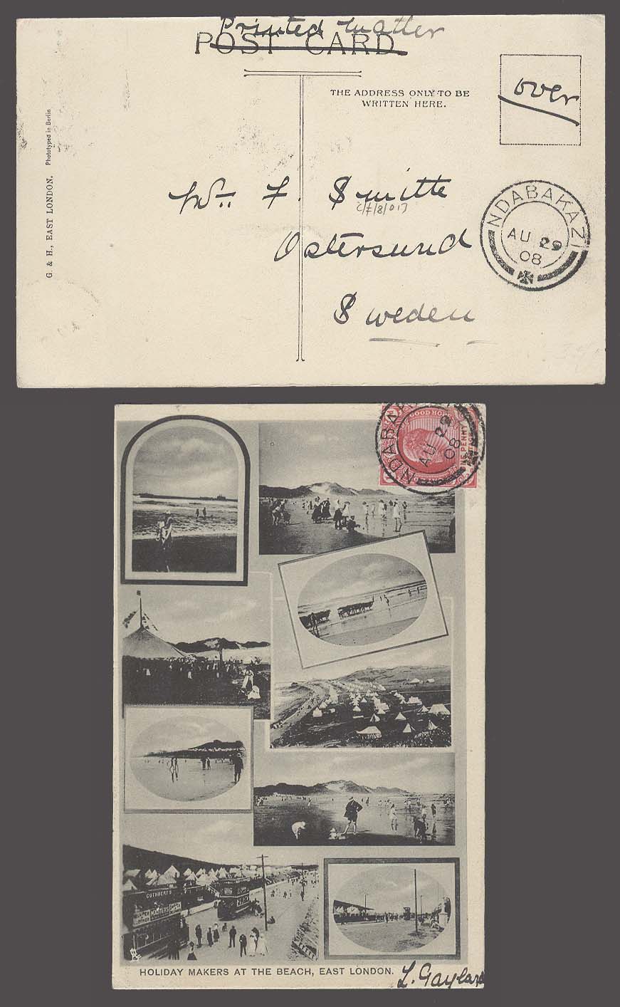 Lot 25119 - south africa - Antonio Torres Early Spring private treaty sale Lot 25119 - south africa - Antonio Torres Early Spring private treaty sale