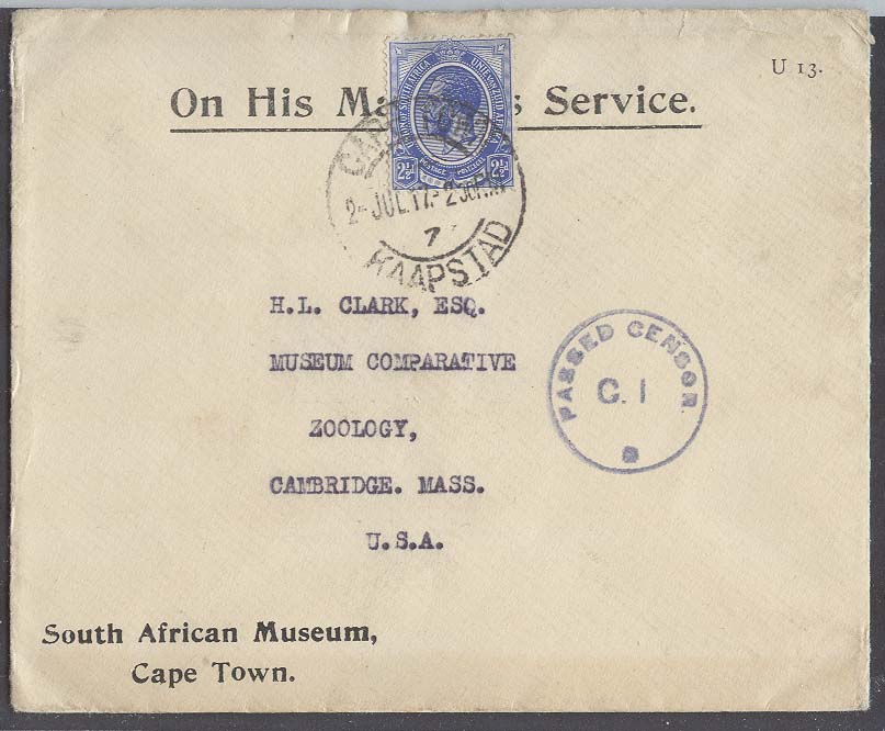 Lot 25152 - south africa - Antonio Torres Early Spring private treaty sale Lot 25152 - south africa - Antonio Torres Early Spring private treaty sale