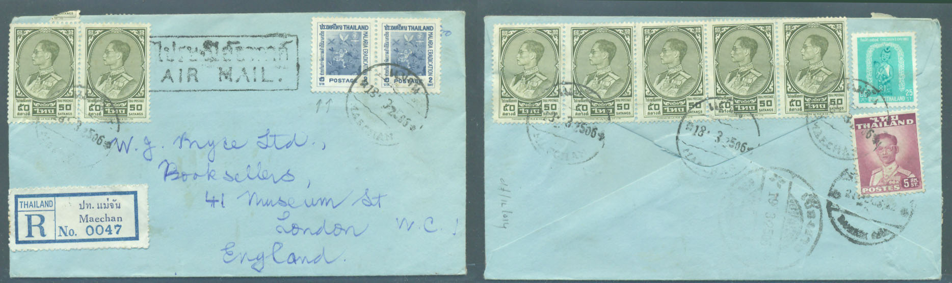 Lot 24932 - siam - Antonio Torres Early Spring private treaty sale Lot 24932 - siam - Antonio Torres Early Spring private treaty sale