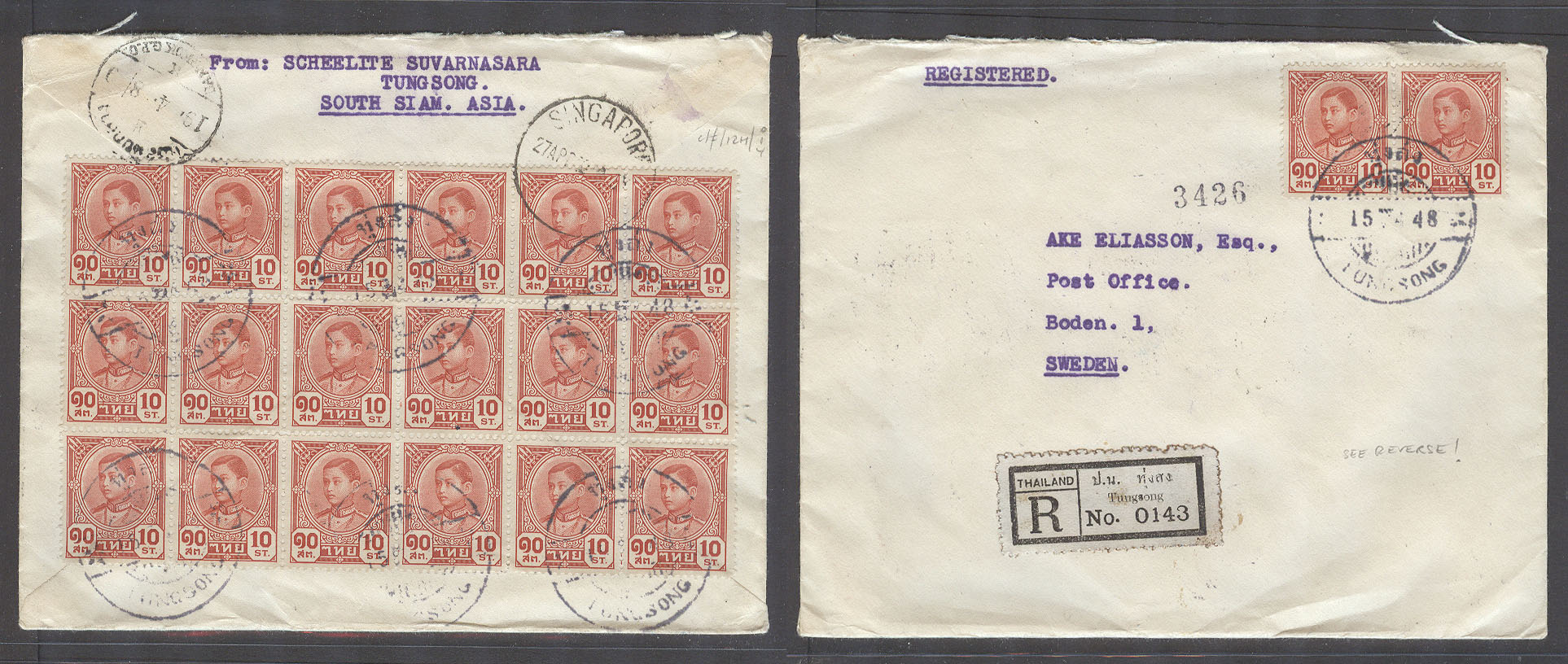 Lot 24925 - siam - Antonio Torres Early Spring private treaty sale Lot 24925 - siam - Antonio Torres Early Spring private treaty sale