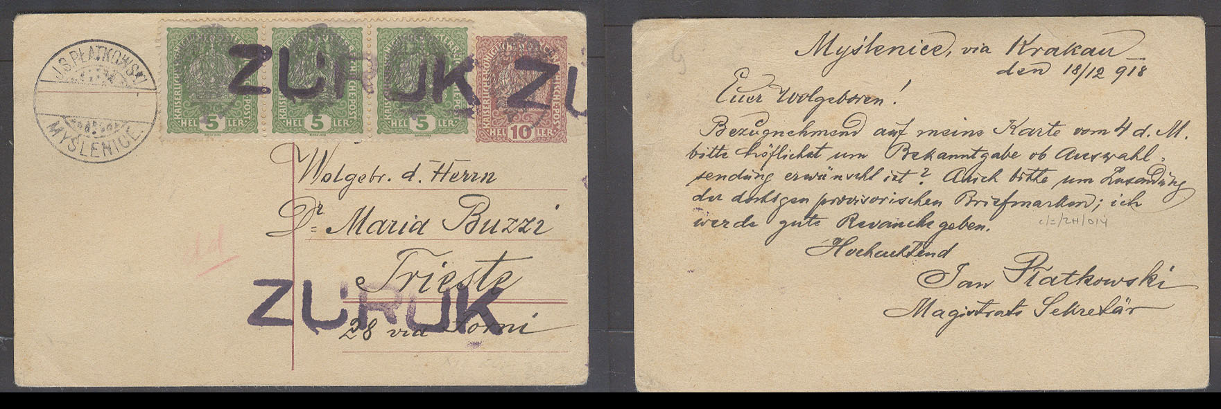Lot 22163 - Poland - Antonio Torres Early Spring private treaty sale Lot 22163 - Poland - Antonio Torres Early Spring private treaty sale