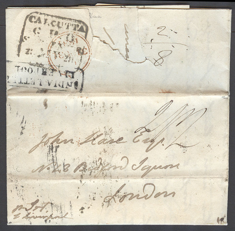Lot 16208 - india - Antonio Torres Early Spring private treaty sale Lot 16208 - india - Antonio Torres Early Spring private treaty sale