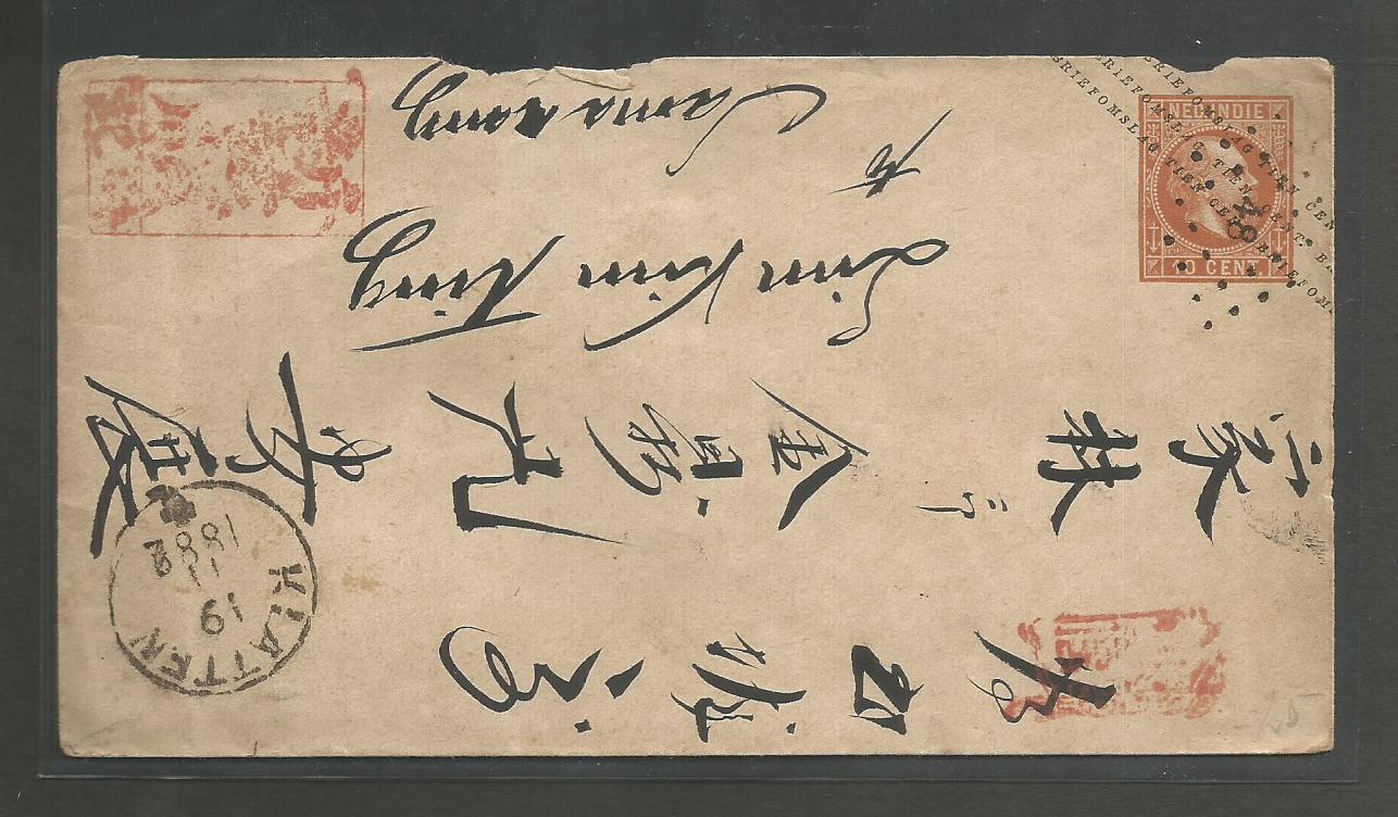 Lot 8753 - dutch indies - Antonio Torres Early Spring private treaty sale Lot 8753 - dutch indies - Antonio Torres Early Spring private treaty sale